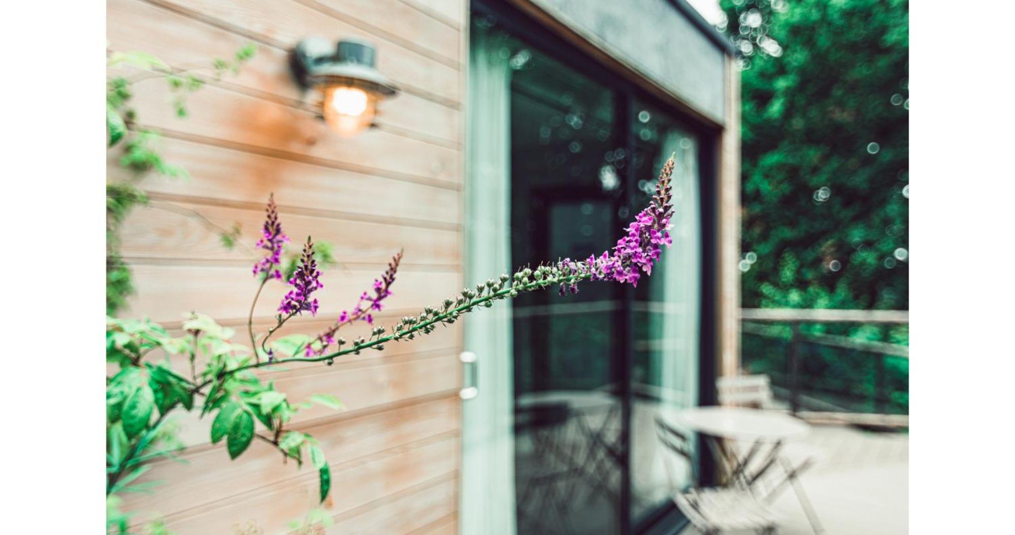 Clophill Eco Lodges エクステリア 写真